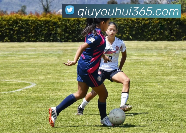 球友会平台生态图